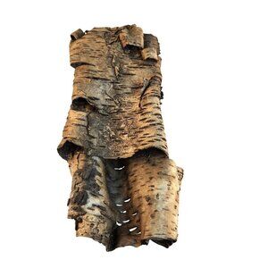 Natural Birch Bark Sheets For Crafting & Decor